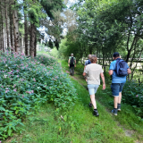 10 augustus 2025: Wandeling Noordwolde